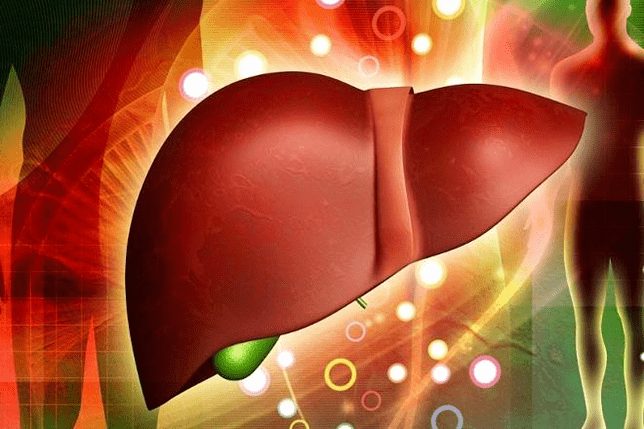 肝臓に対する効力のための薬の効果